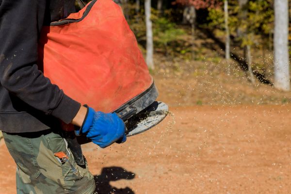 Natural Grass Seeding