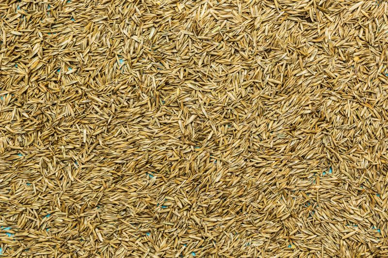 Native Grass Planting