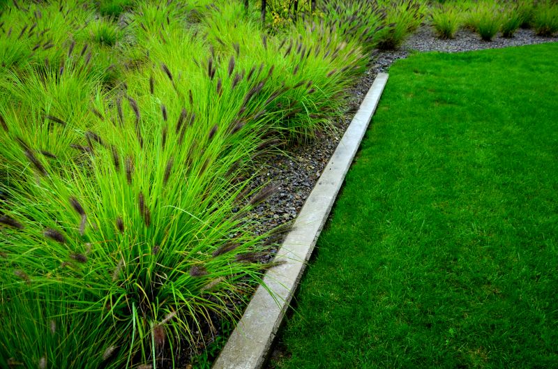 Native Grass Border
