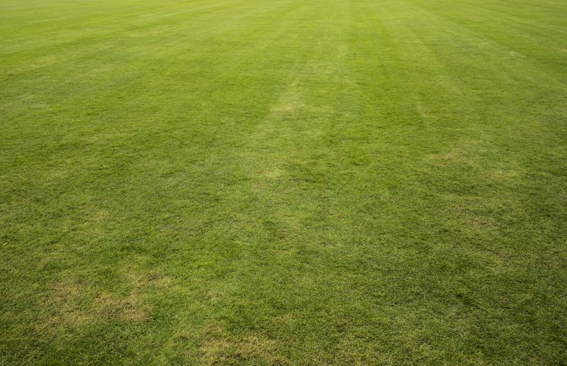 Sod Landscaping in Ventura County, CA